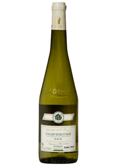 824 - Muscadet de Sèvre & Maine sur lies 2023 Domaine de la Grange